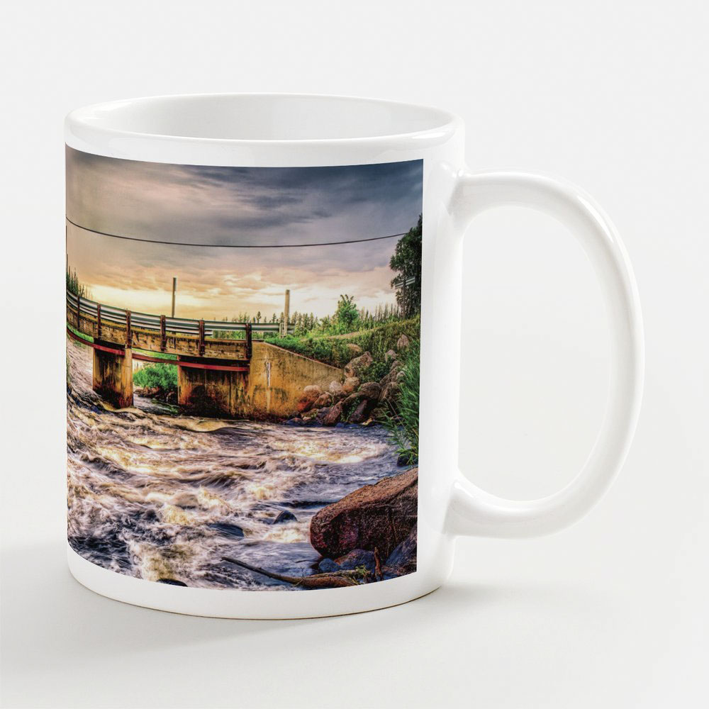 Photo Mug - Reed Falls