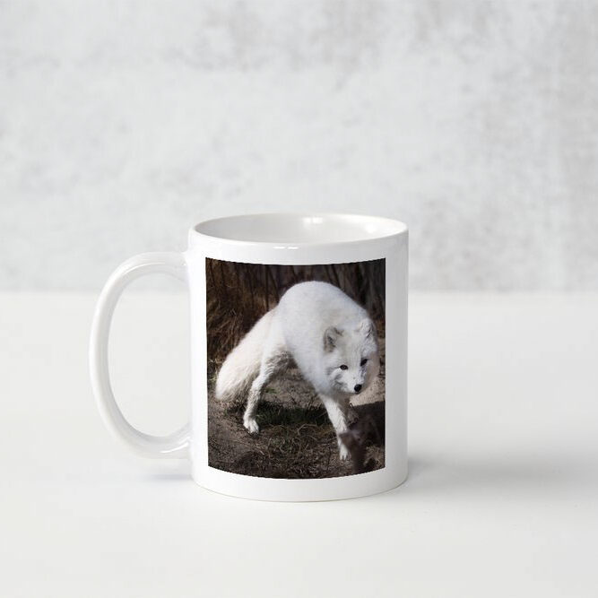 Photo Mug - Snow Fox