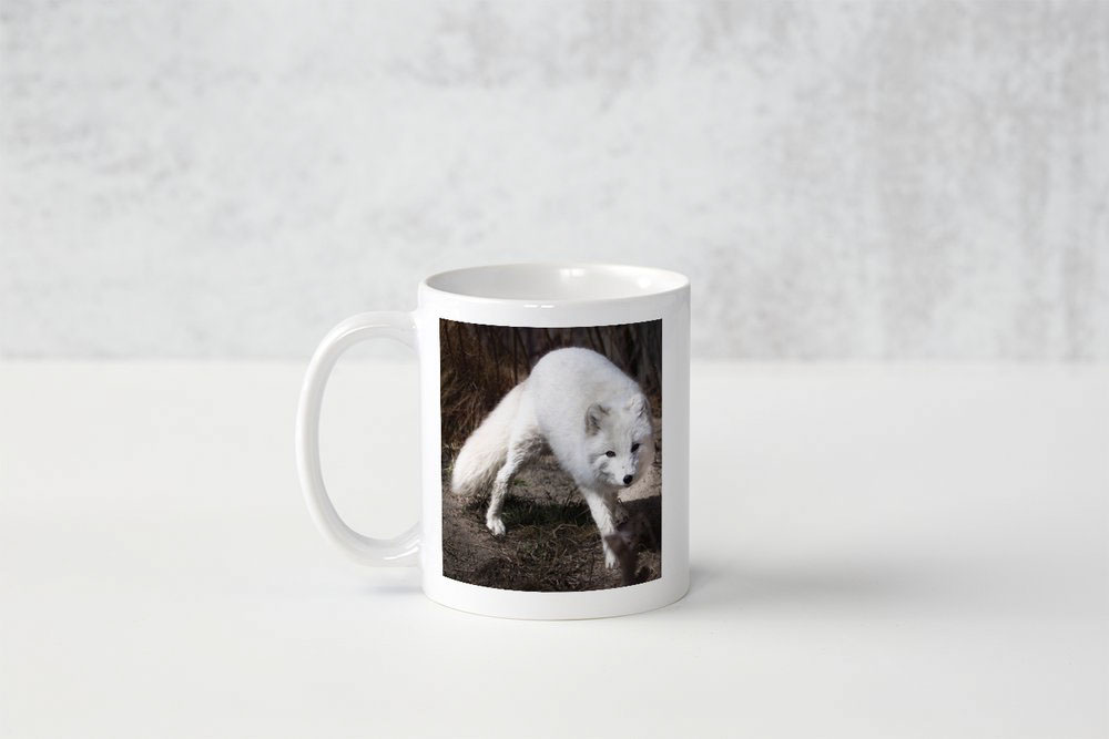 Photo Mug - Snow Fox