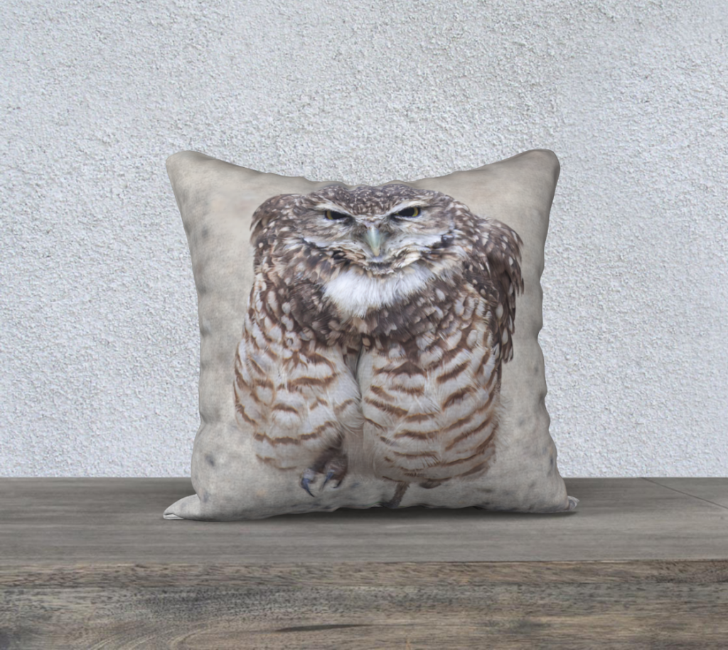 18" x 18" Pillow Case - Burrowing Owl