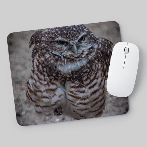 Photo Mousepad - Burrowing Owl