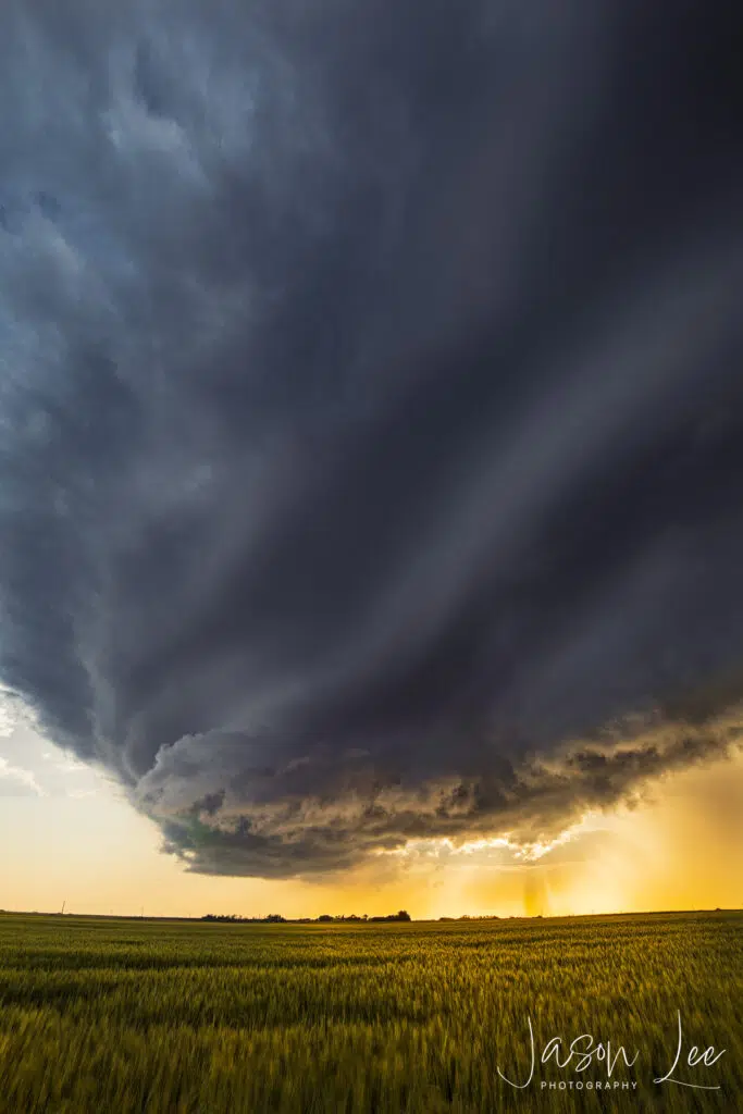 Supercell on the Prairies - Vertical