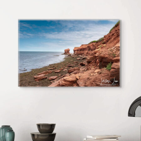 Cactus Pot Fine Art Nature Print Cactus Pot Fine Art Nature Print