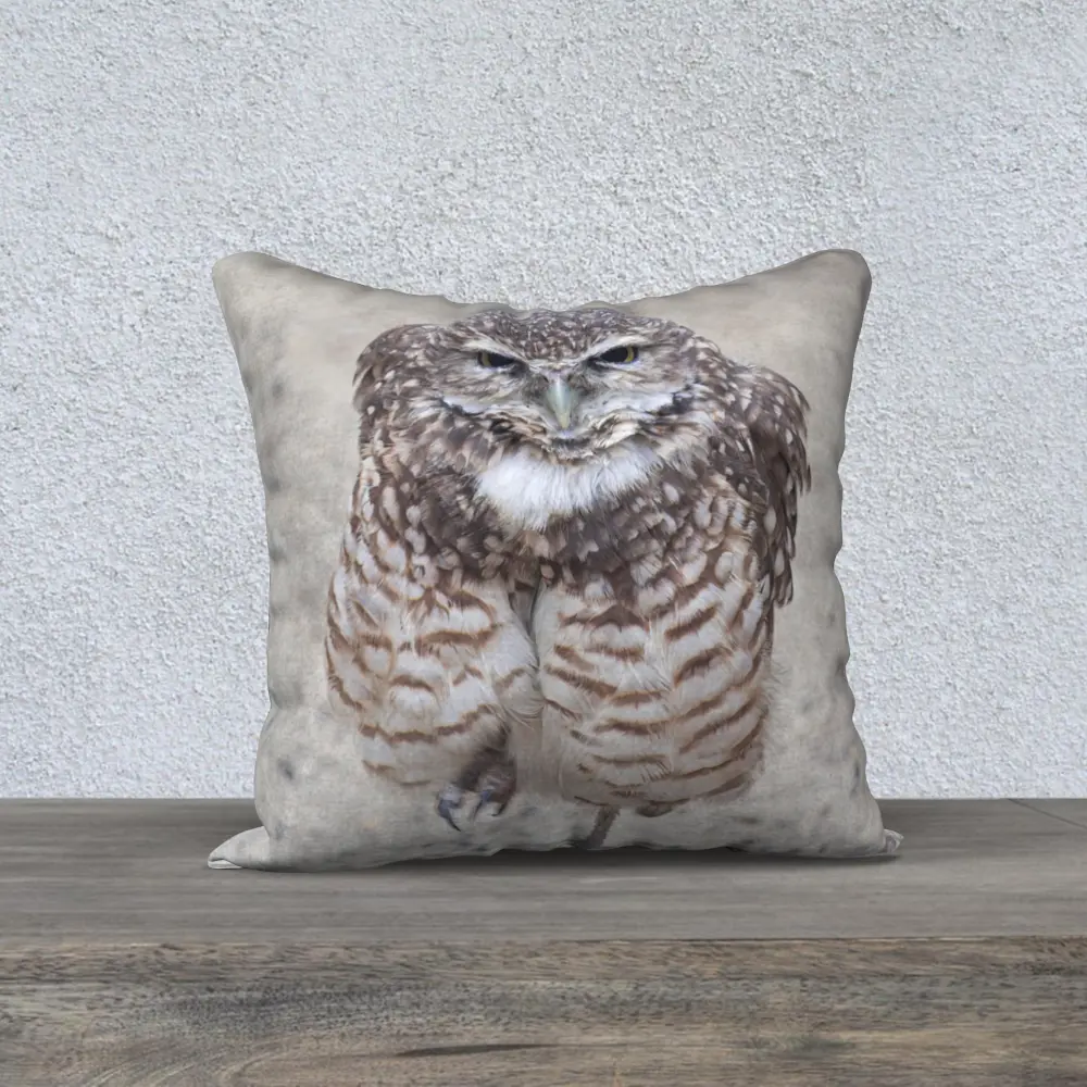 A photo of an 18-inch square accent pillow, likely for a couch or bed. The pillow is printed with a professional wildlife photograph of a burrowing owl, an artwork titled 'Burrowing Owl' by Métis artist Jason Lee.