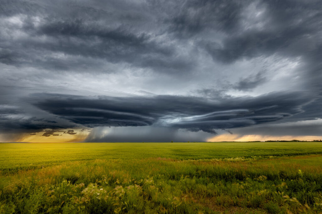 Stormbound