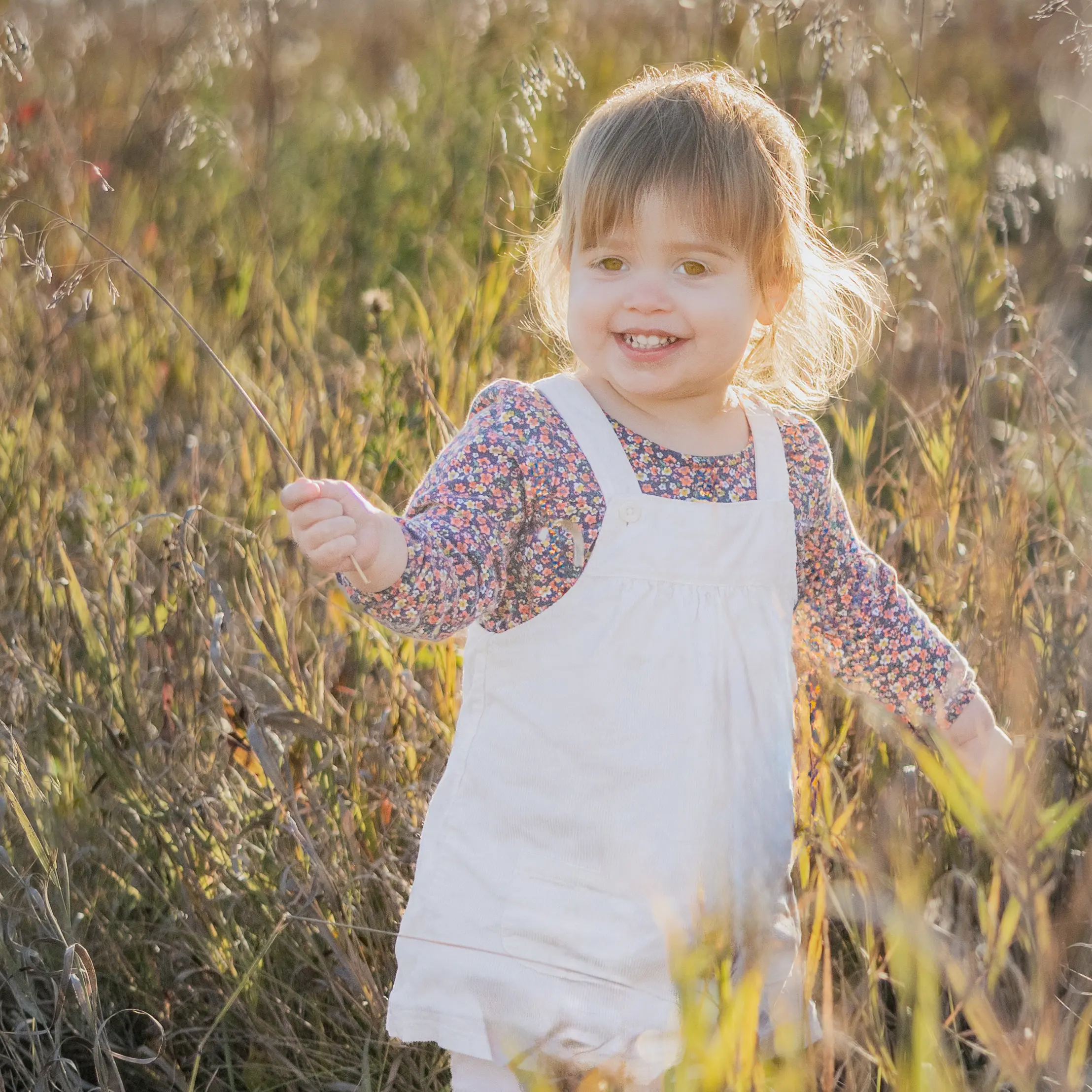 Young girl playing in tall grass during a fall family session at Beaudry Provincial Park