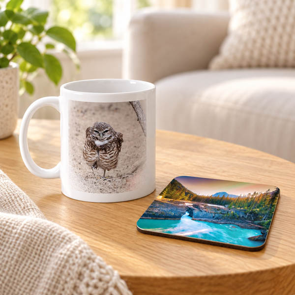 Burrowing Owl photo mug beside a Natural Bridge photo coaster
