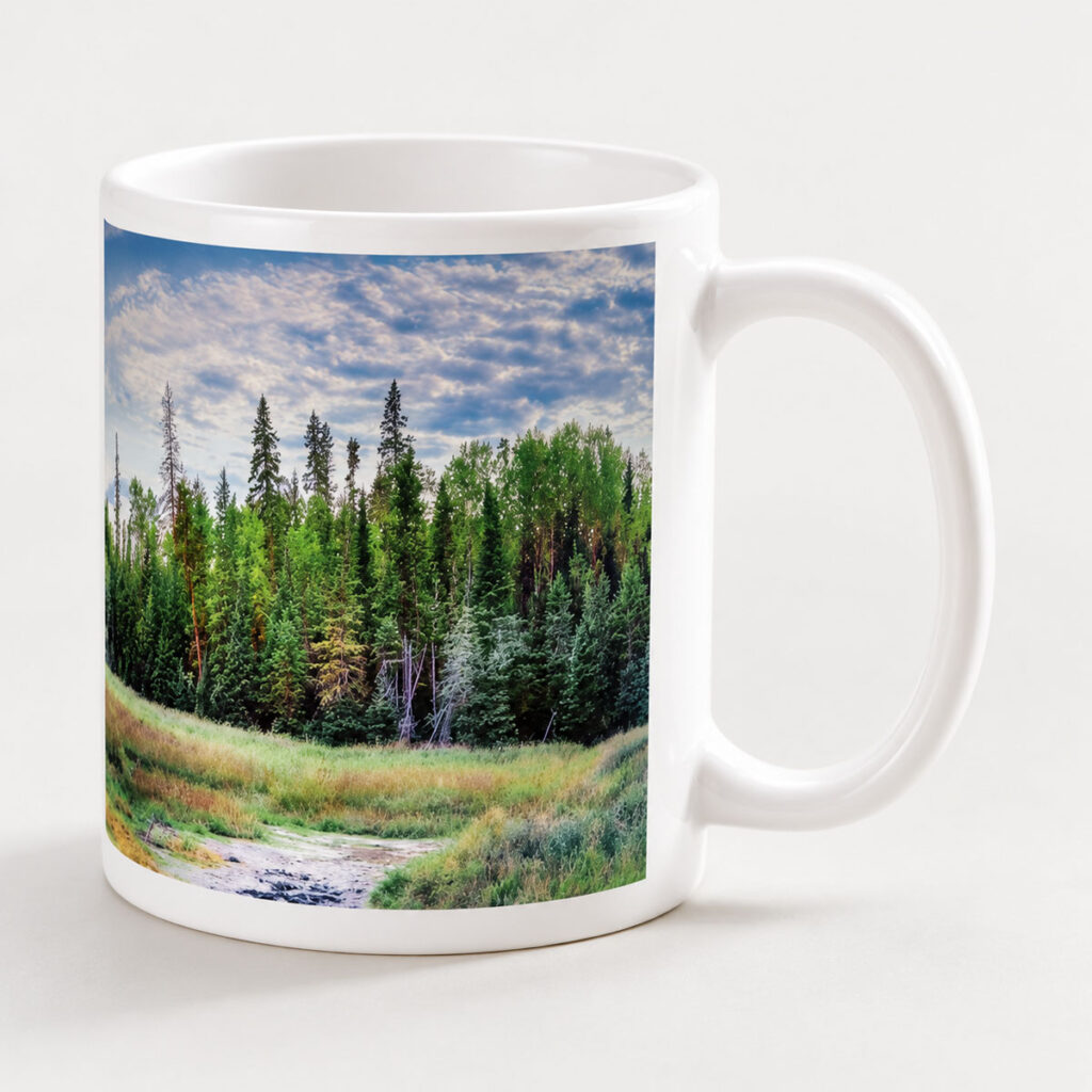 Caddy Lake – Photo Mug
