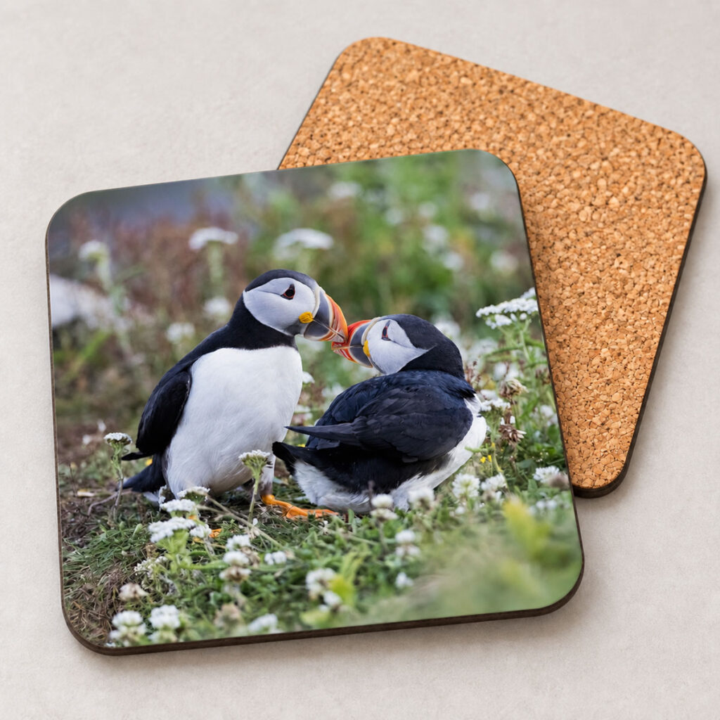 Kissing Puffins – Photo Coaster