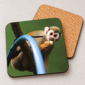 Monkey – Photo Coaster