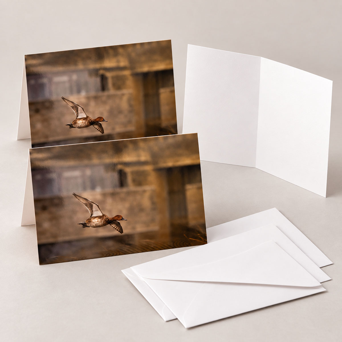 Set of three greeting cards featuring a female redhead duck in flight, with a blank card interior and white envelopes.