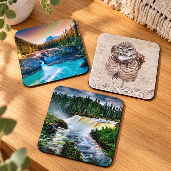 Natural Bridge, Burrowing Owl and Pisew Falls photo coasters on a wooden table