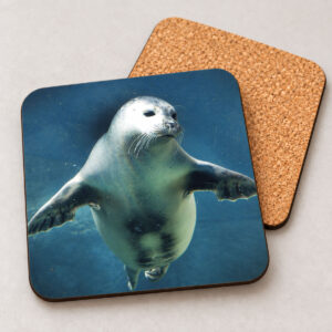 Seal – Photo Coaster