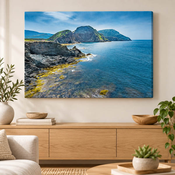 Bottle Cove coastal photograph displayed as a gallery-wrapped canvas