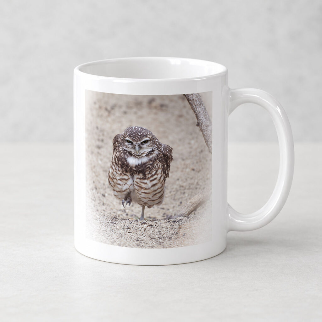 Burrowing Owl – Photo Mug