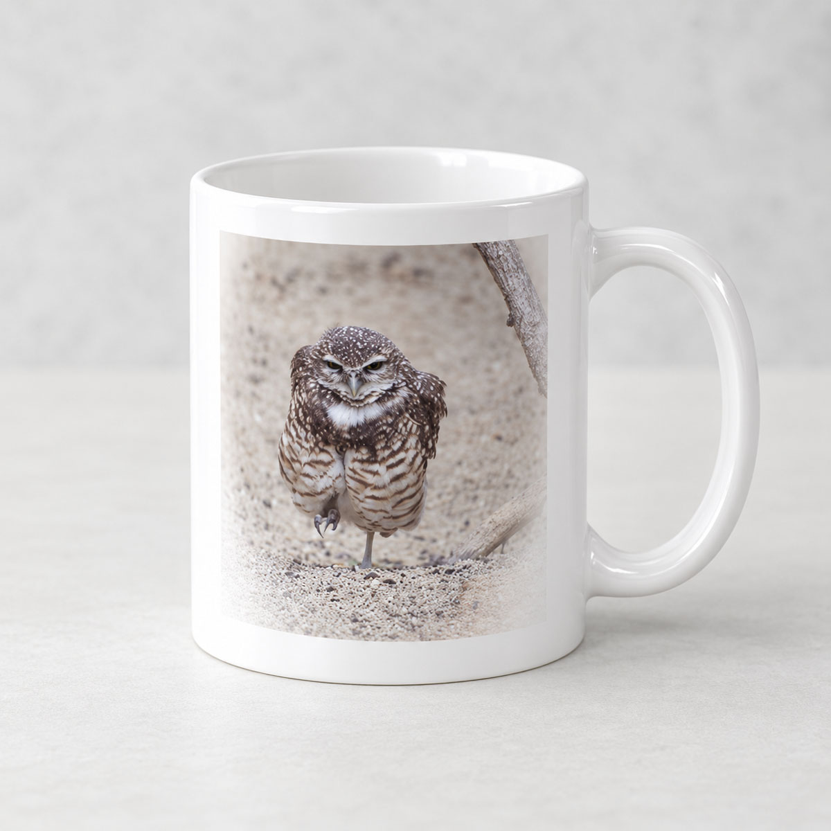 White ceramic photo mug featuring a burrowing owl standing on sandy ground.