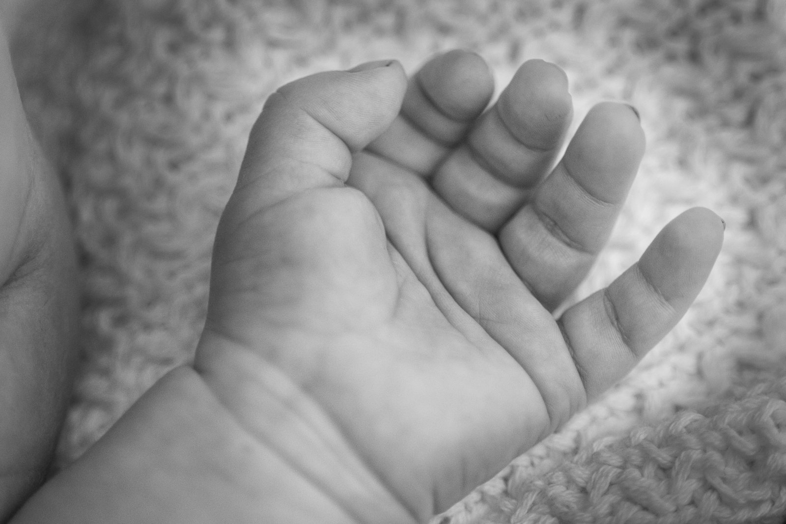 Close-up of a newborn baby’s hand.