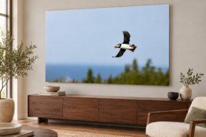 Puffin in Flight