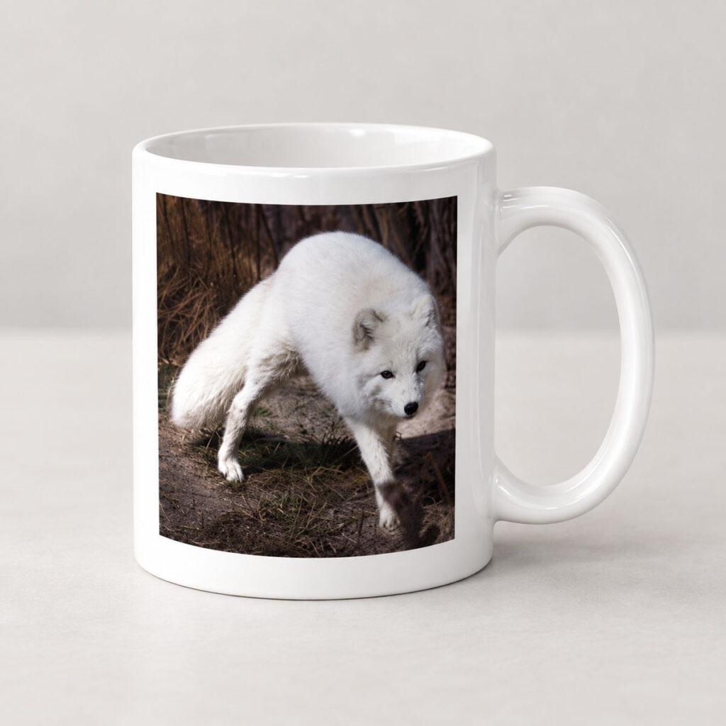 Snow Fox – Photo Mug