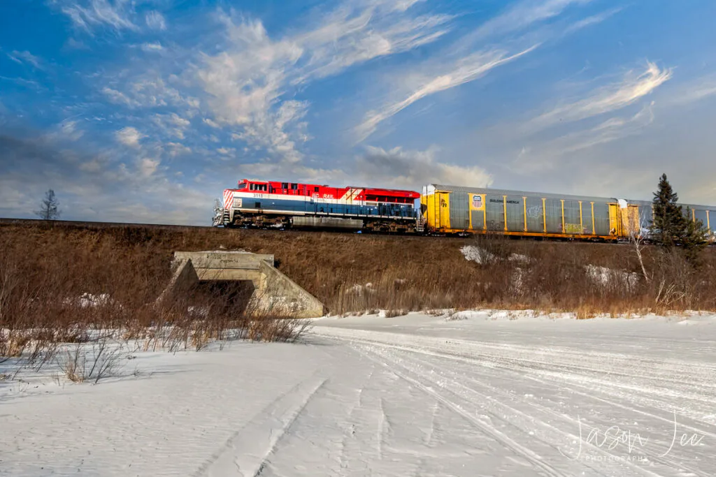 Brereton Lake Train