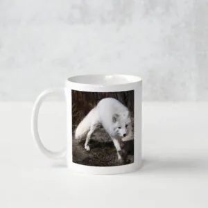 Snow Fox – Photo Mug