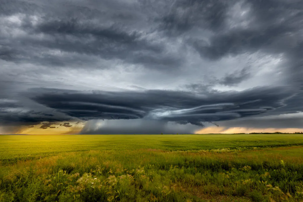 Stormbound