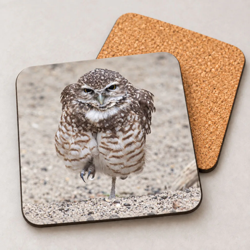 Burrowing Owl – Photo Coaster
