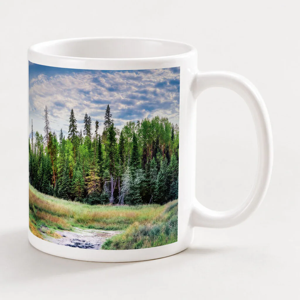 Caddy Lake – Photo Mug