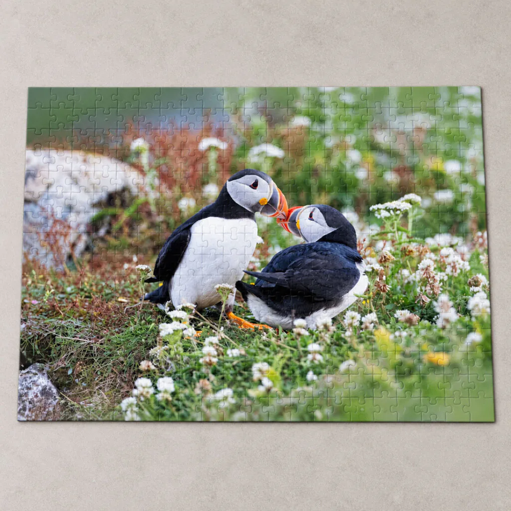 Kissing Puffins – 500-Piece Jigsaw Puzzle