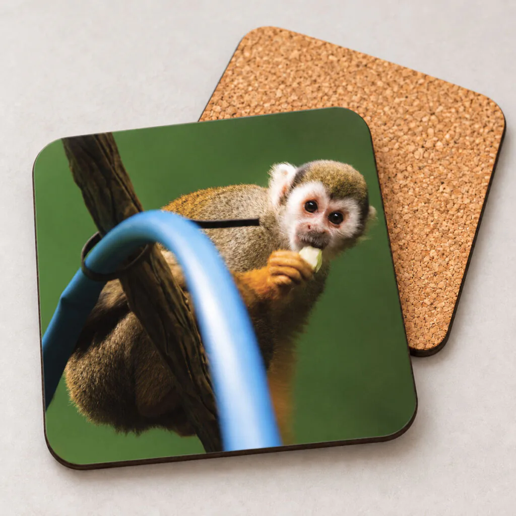 Monkey – Photo Coaster