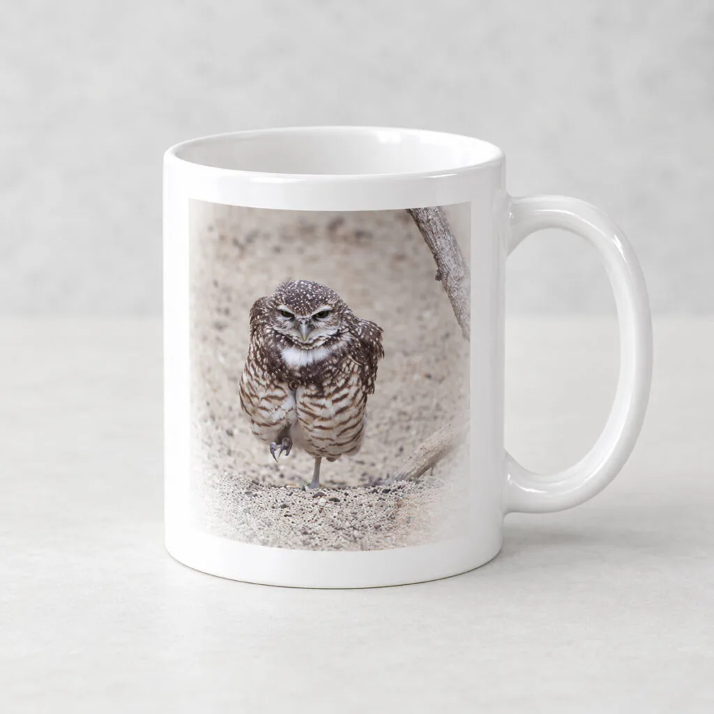 Burrowing Owl – Photo Mug