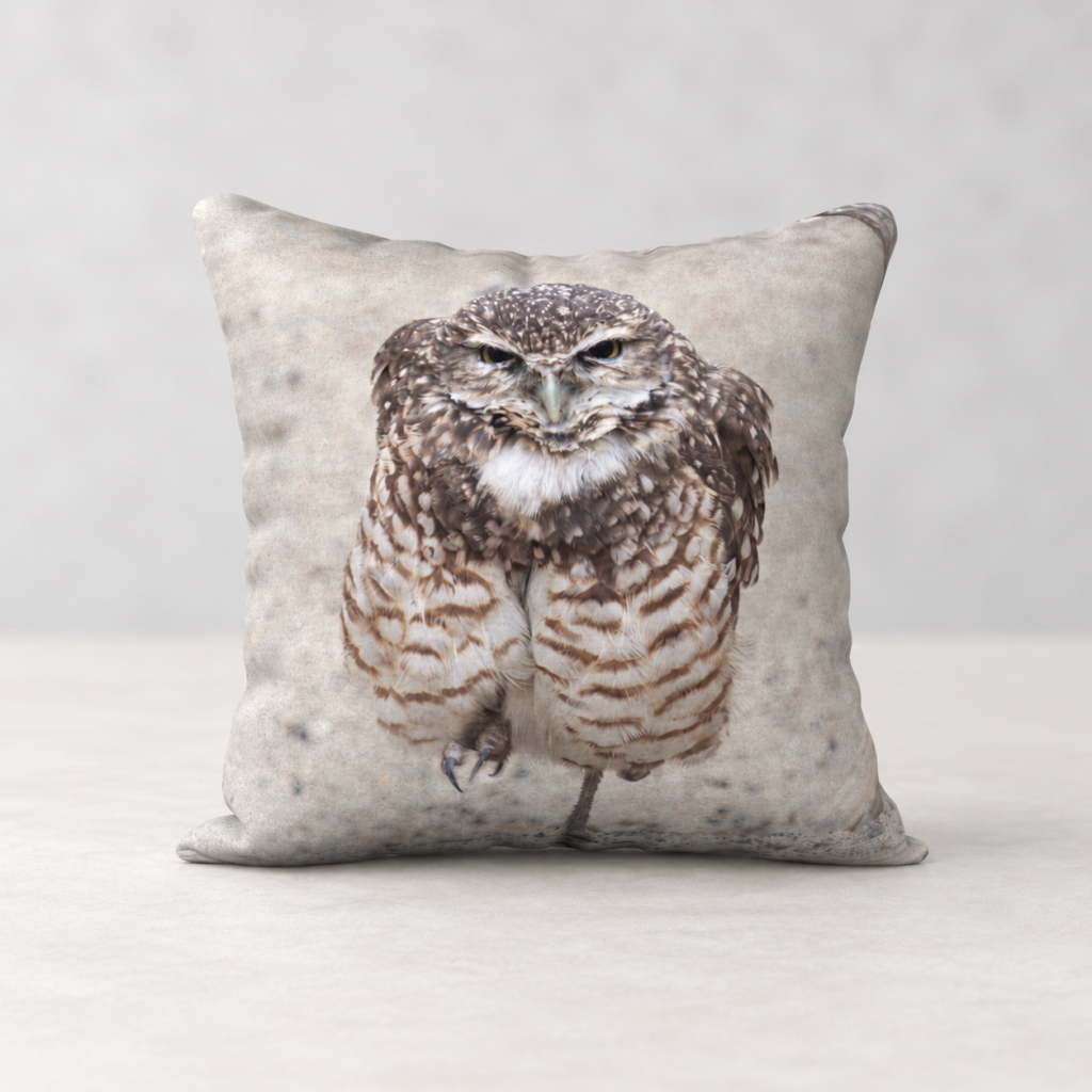 Burrowing Owl – 18 × 18-inch Pillow Cover