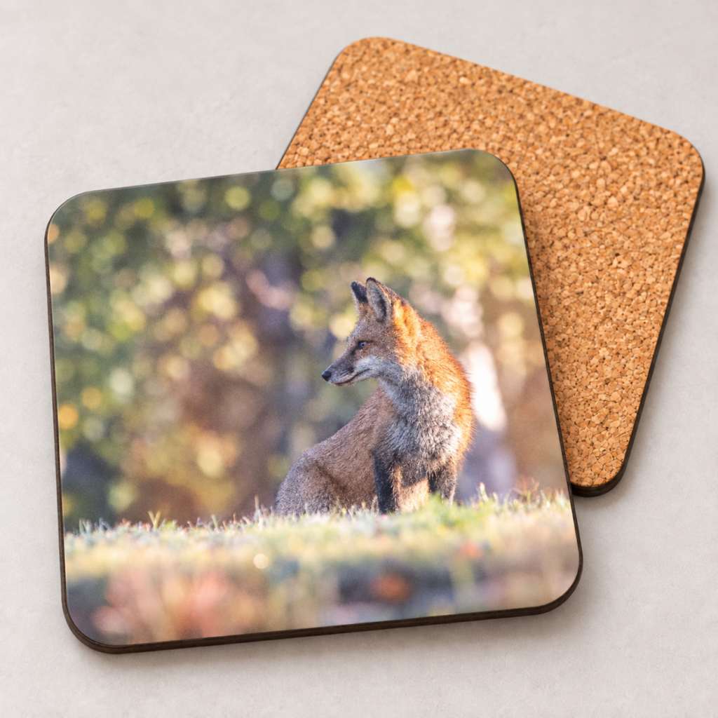Red Fox at Sunrise – Photo Coaster