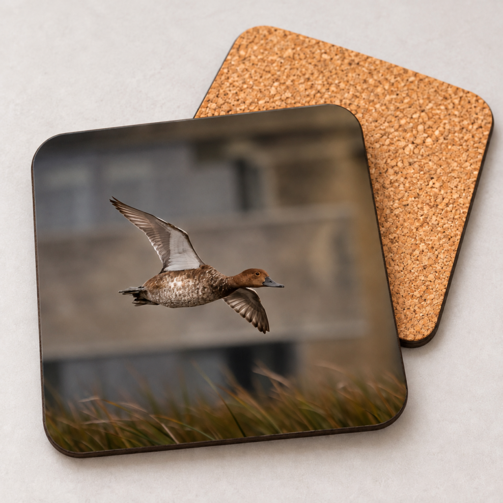 Redhead Hen – Photo Coaster