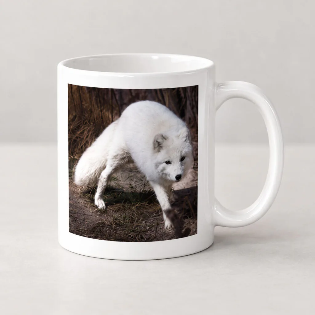 Snow Fox – Photo Mug