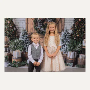 Winnipeg Christmas Mini Sessions — November 21 & 22, 2026