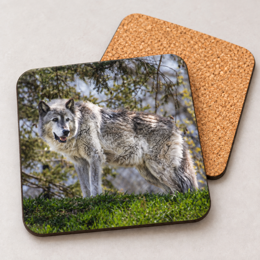 Wolf – Photo Coaster