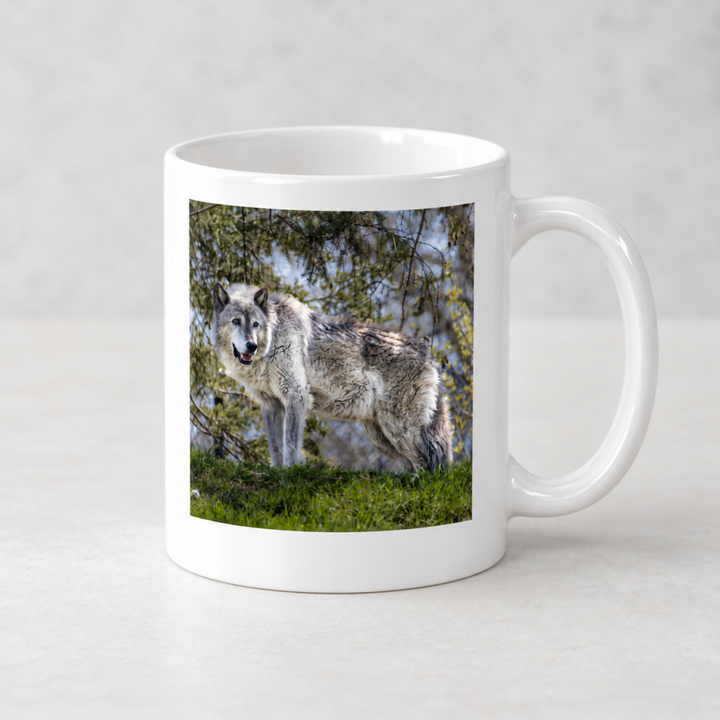 Wolf – Photo Mug